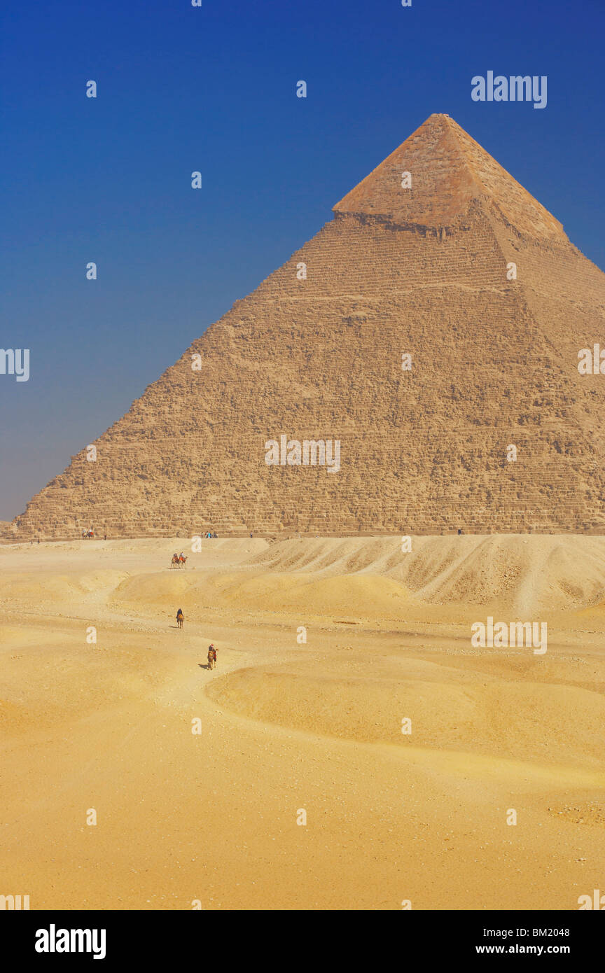 Cammelli vicino a Piramide di Giza, Sito Patrimonio Mondiale dell'UNESCO, vicino a Il Cairo, Egitto, Africa Settentrionale, Africa Foto Stock