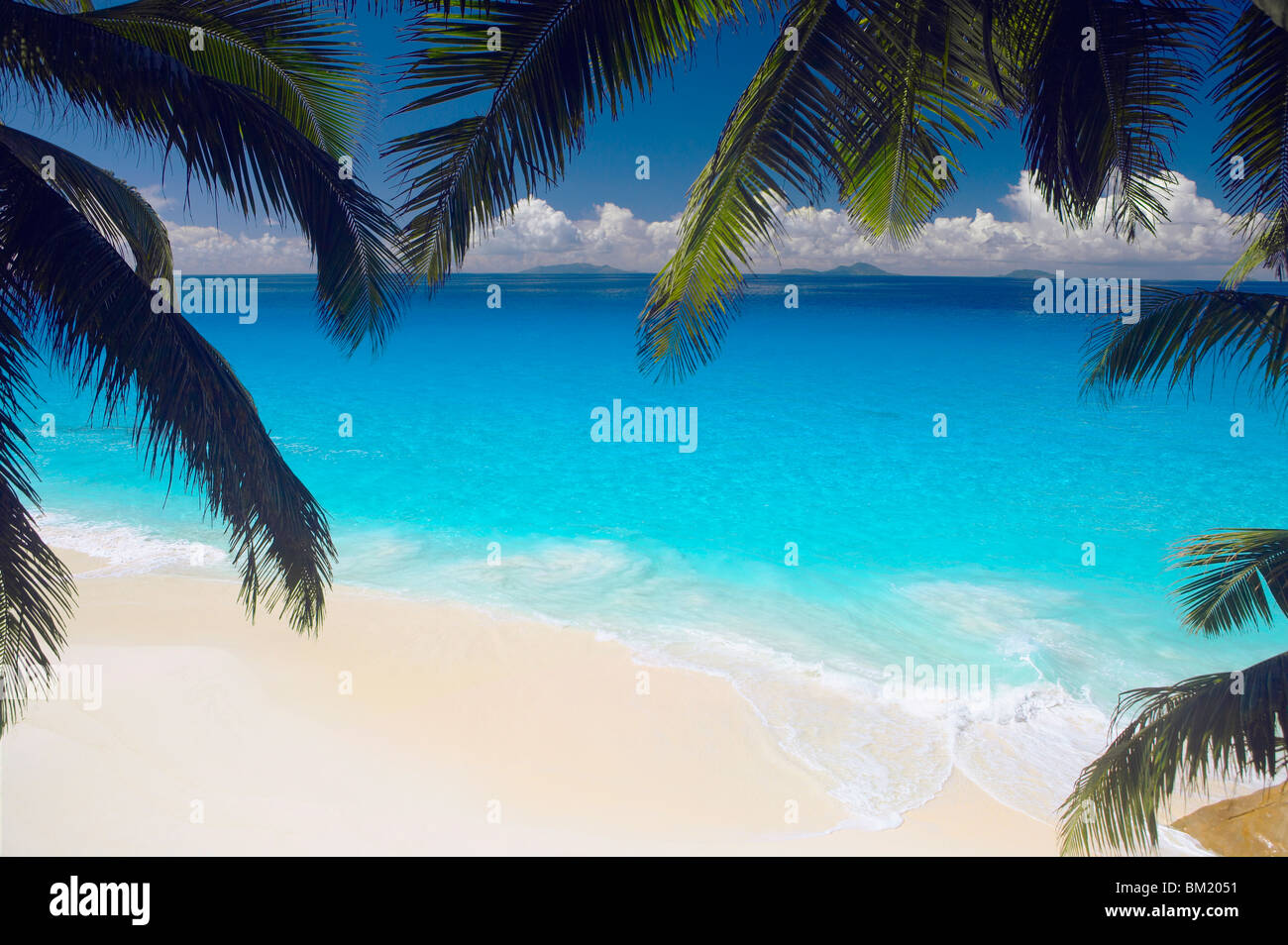 Spiaggia vuota e palme, Seychelles, Oceano indiano, Africa Foto Stock