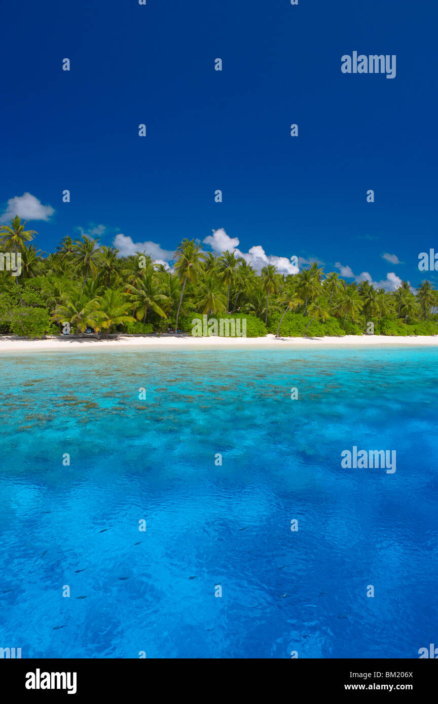 Isola tropicale e la laguna, Maldive, Oceano Indiano Foto Stock