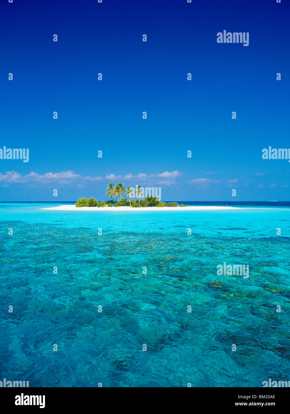 Isola deserta, Maldive, Oceano Indiano Foto Stock