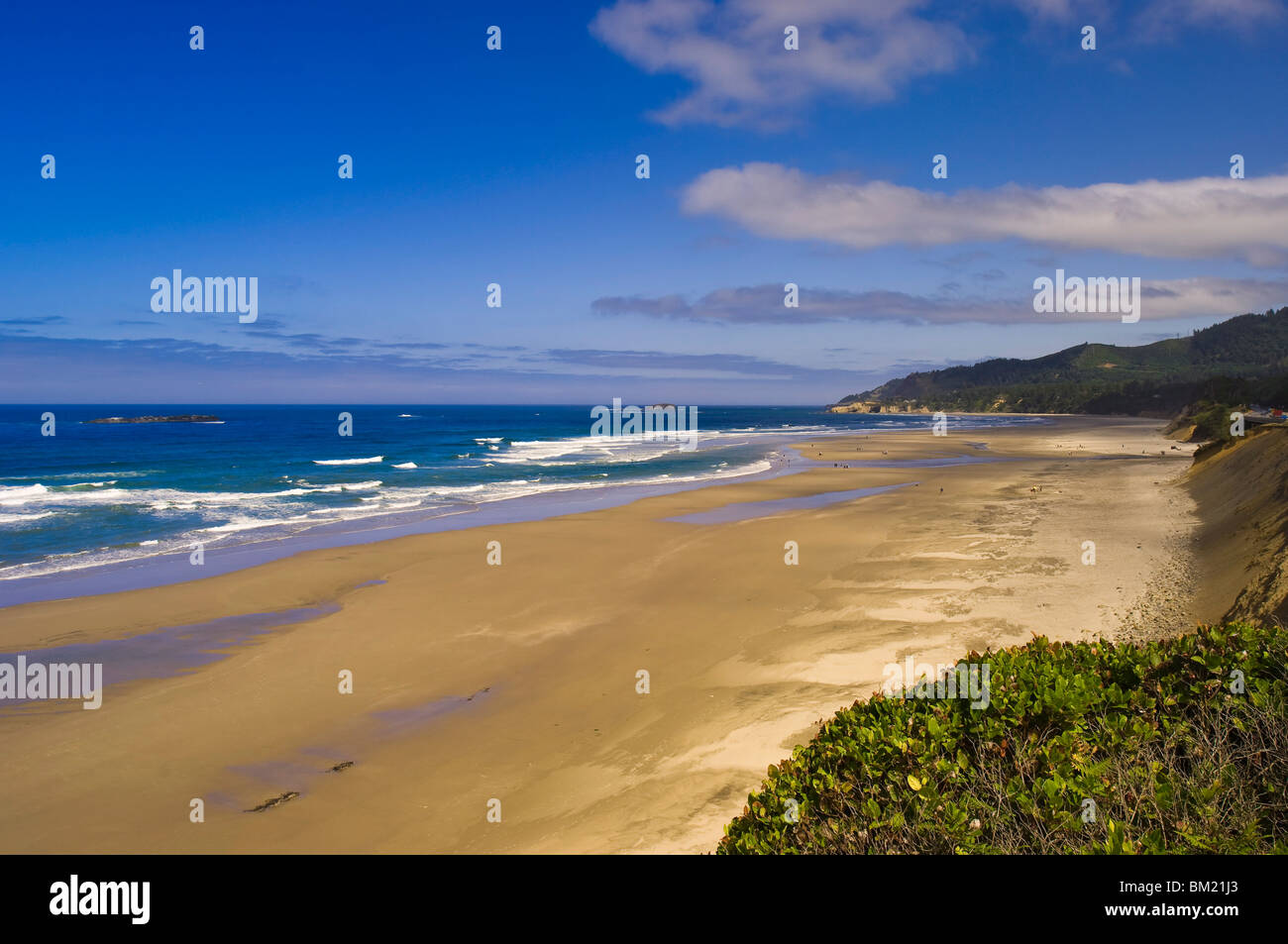 Nehalem Bay State Park Beach, Astoria, Oregon, Stati Uniti d'America, America del Nord Foto Stock