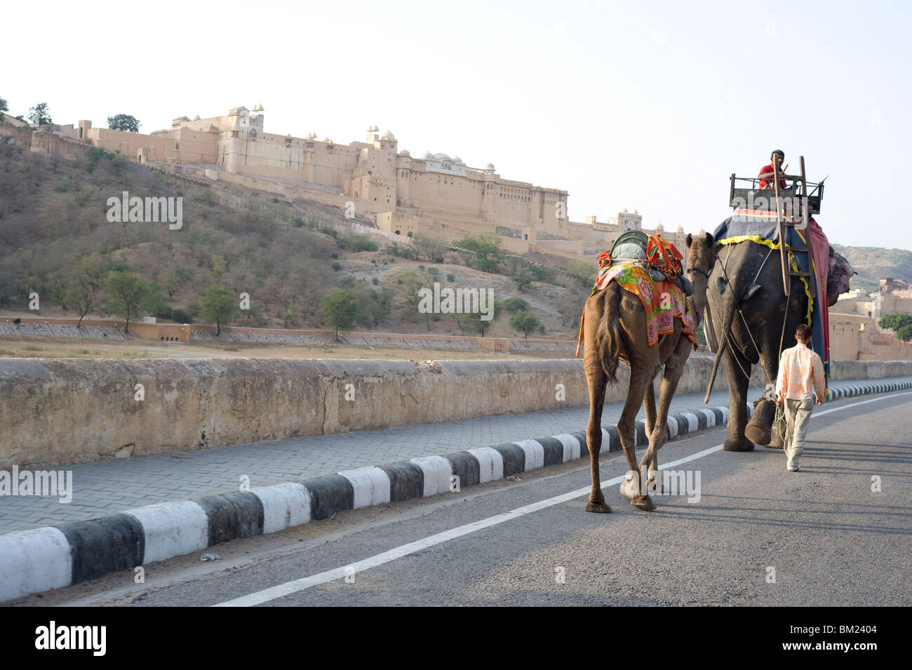 Cammello e elefante passato a piedi Forte Amber, ambra, Rajasthan, India, Asia Foto Stock