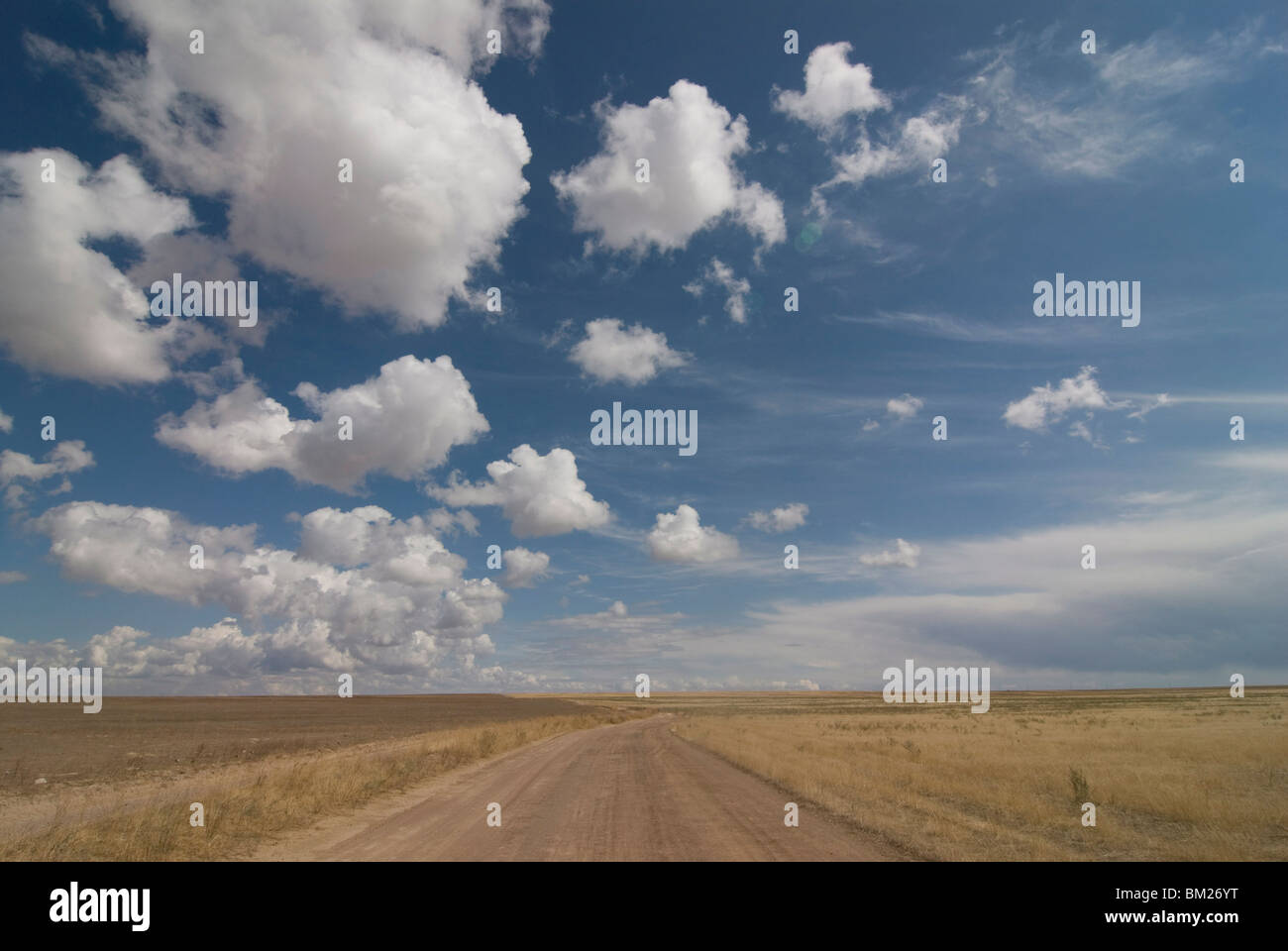 La aprire ampie pianure del Kazakistan, dell'Asia centrale Foto Stock