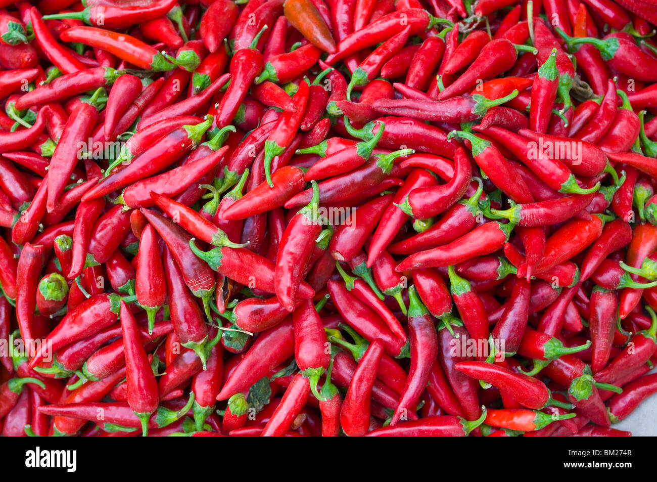 Close-up di peperoncino rosso in Nahaufnahme, SSL, Kirghizistan, in Asia centrale Foto Stock