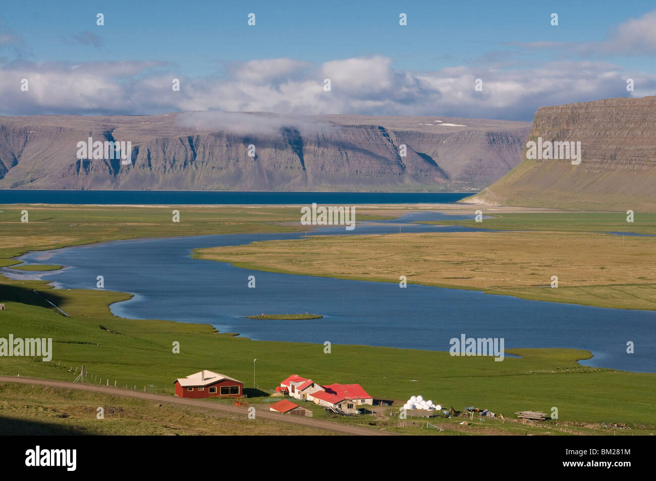 Fattoria nel tipico paesaggio nel fiordo, Patreksfjordur, Islanda, regioni polari Foto Stock