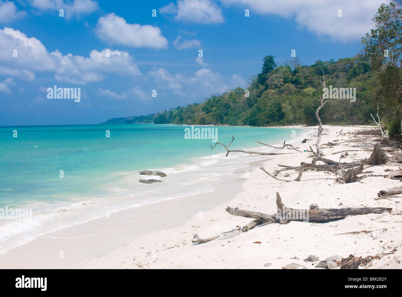 Argento spiaggia di sabbia con mare turchese, Havelock Island Isole Andamane, India, Oceano Indiano, Asia Foto Stock
