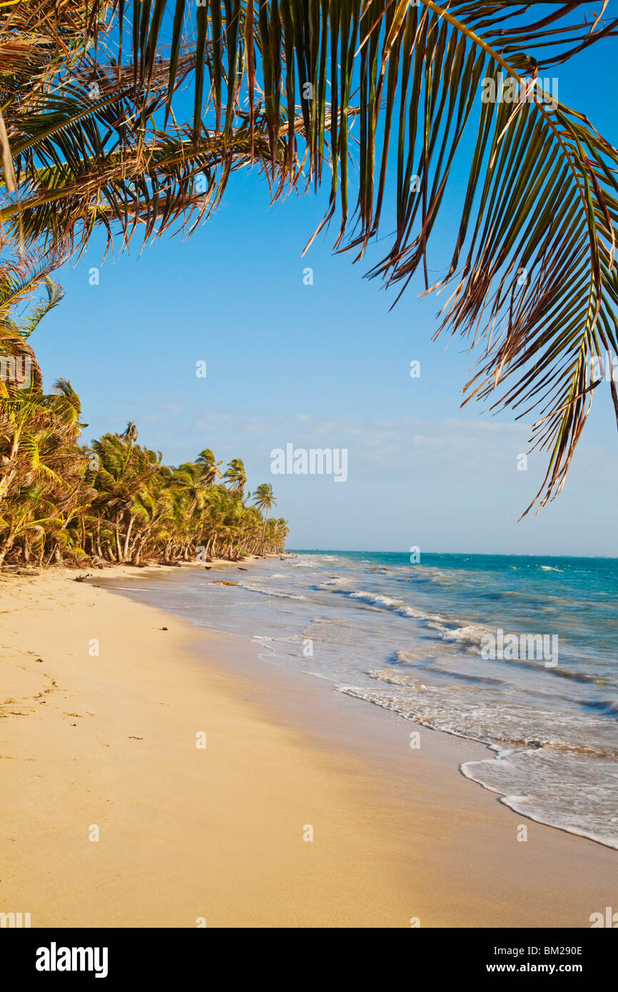 Iguana Beach, Little Corn Island e le isole del Mais, Nicaragua Foto Stock