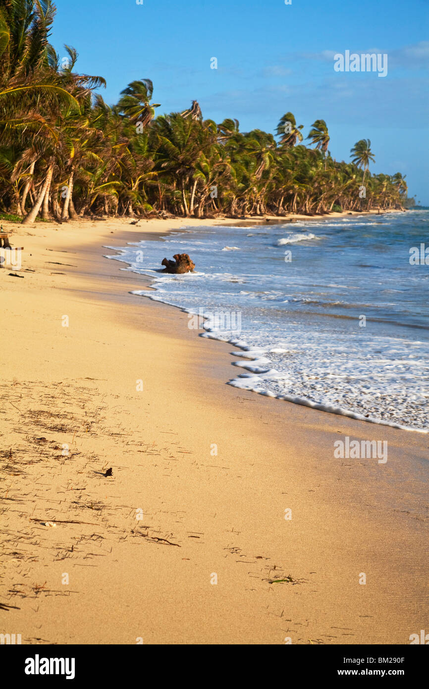 Iguana Beach, Little Corn Island e le isole del Mais, Nicaragua Foto Stock