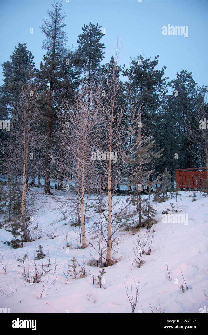 Pyha-Luosto ski resort, Lapponia, Finlandia e Scandinavia Foto Stock