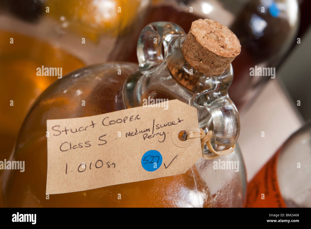 Regno Unito, Inghilterra, Herefordshire, Putley, Big Apple Event, medium sweet perry concorso da Stuart Cooper in demijohn Foto Stock