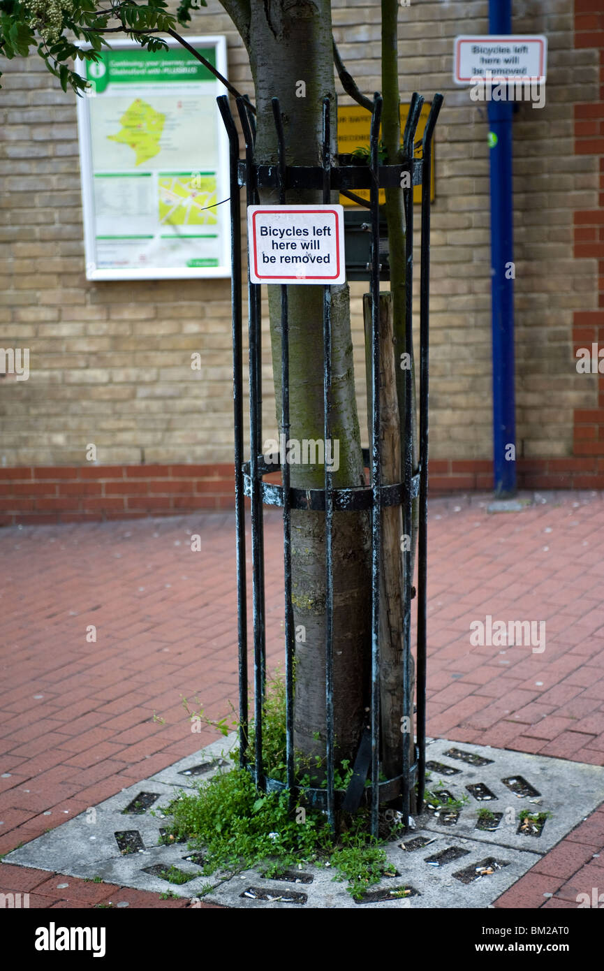 Un segnale di avvertimento attaccato a un albero a Chelmsford Essex. Foto di Gordon Scammell Foto Stock