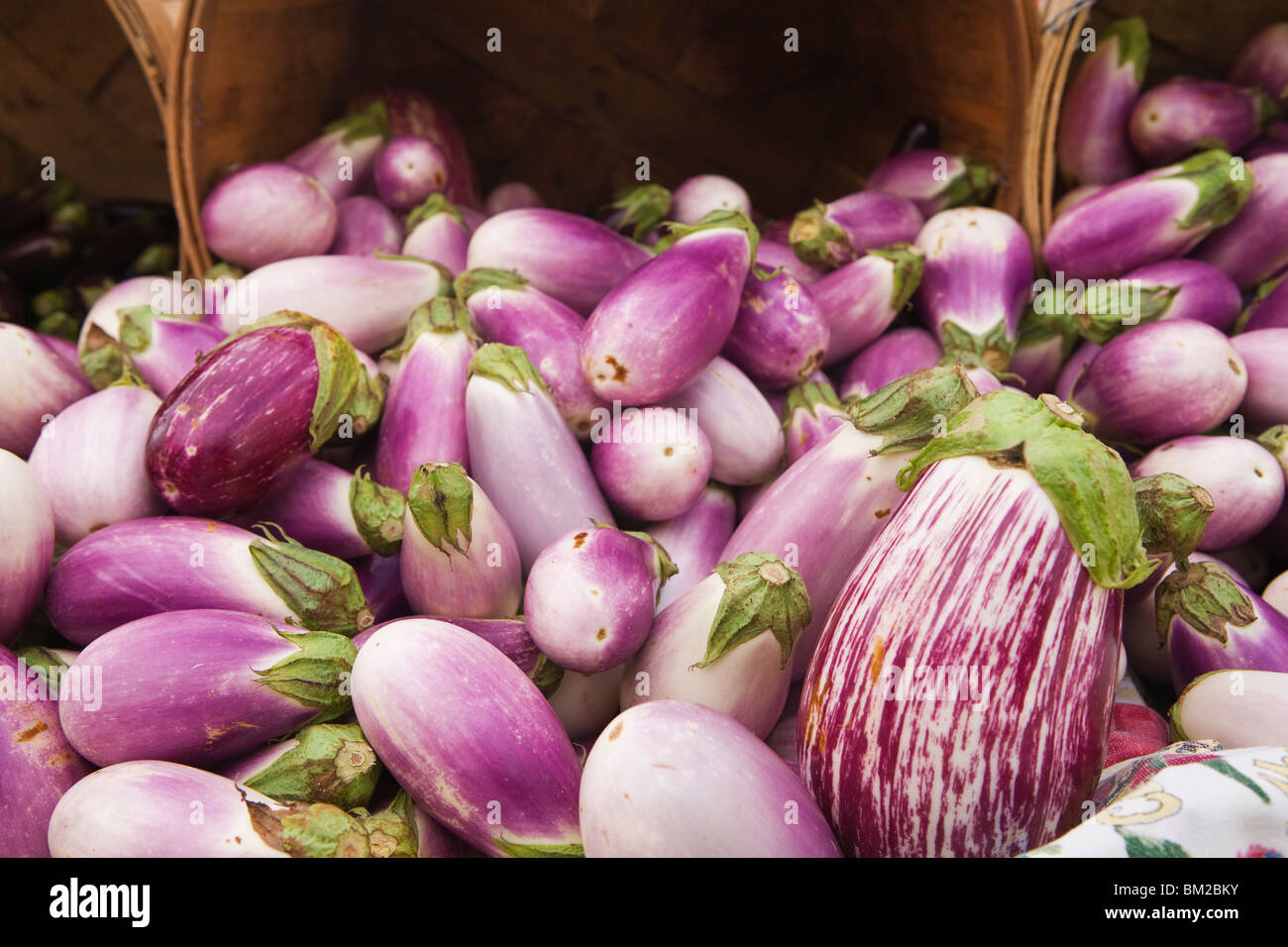 Melanzane fresche Foto Stock