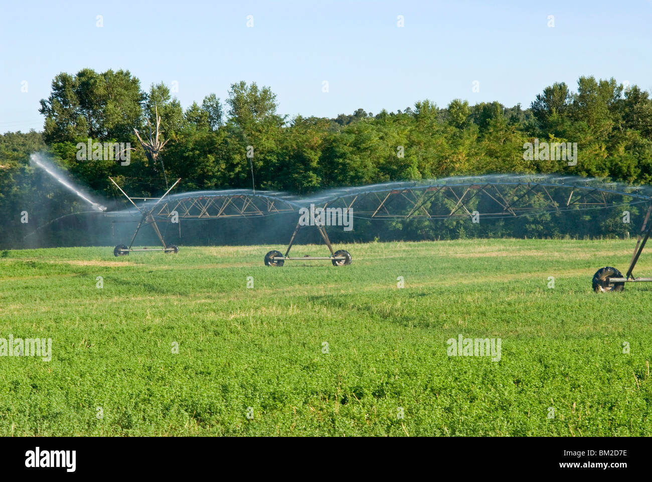 Irrigazione in campagna nei pressi di San Quirico d'Orcia, Siena, Toscana, Italia Foto Stock