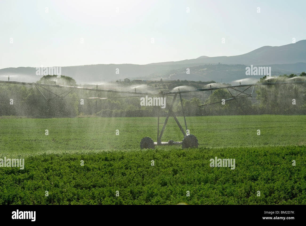 Irrigazione in campagna nei pressi di San Quirico d'Orcia, Siena, Toscana, Italia Foto Stock