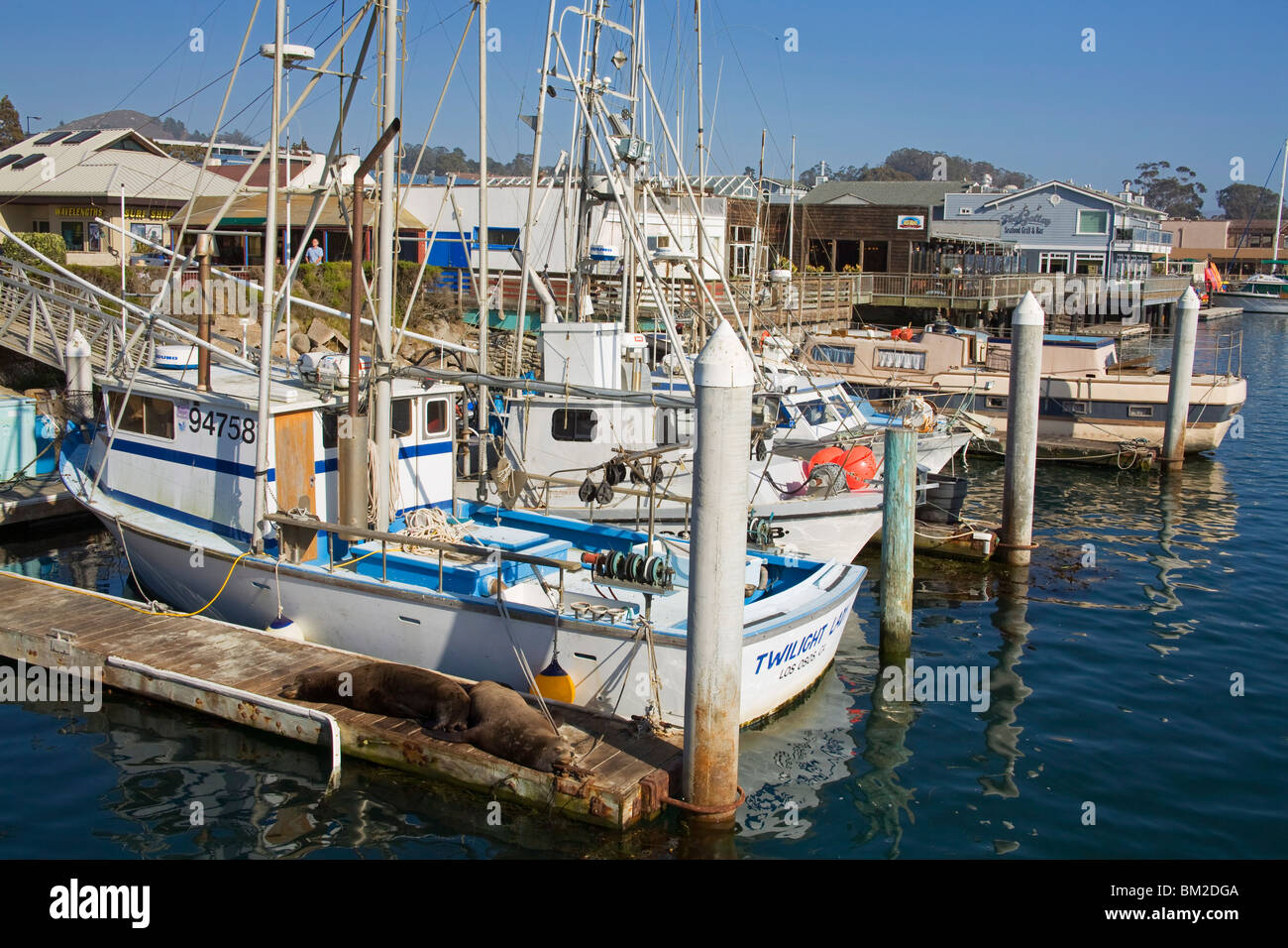 Barche da pesca, città di Morro Bay, San Luis Obispo County, California, Stati Uniti d'America Foto Stock