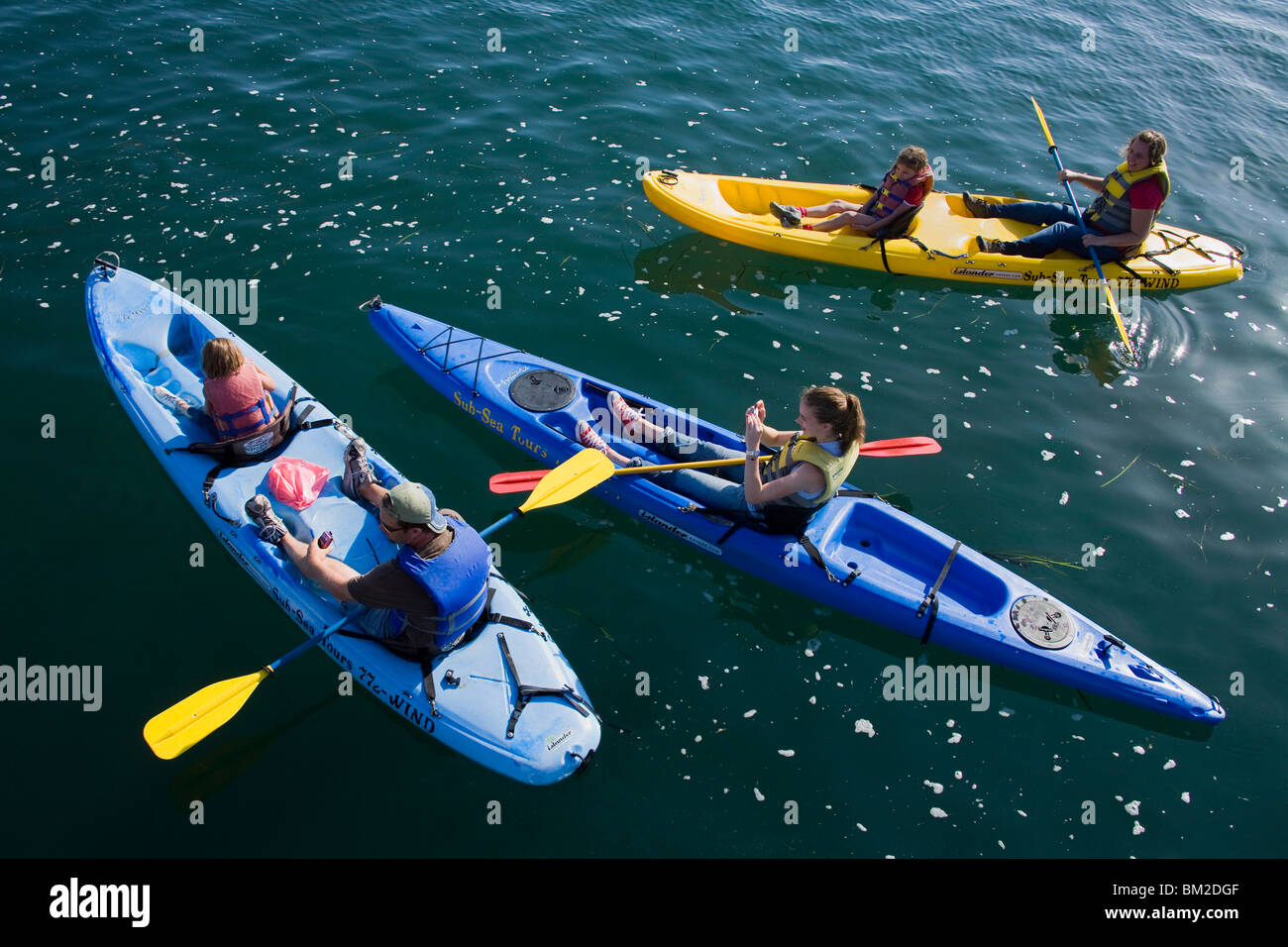 Noleggio kayak, Embarcadero, città di Morro Bay, San Luis Obispo County, California, Stati Uniti d'America Foto Stock