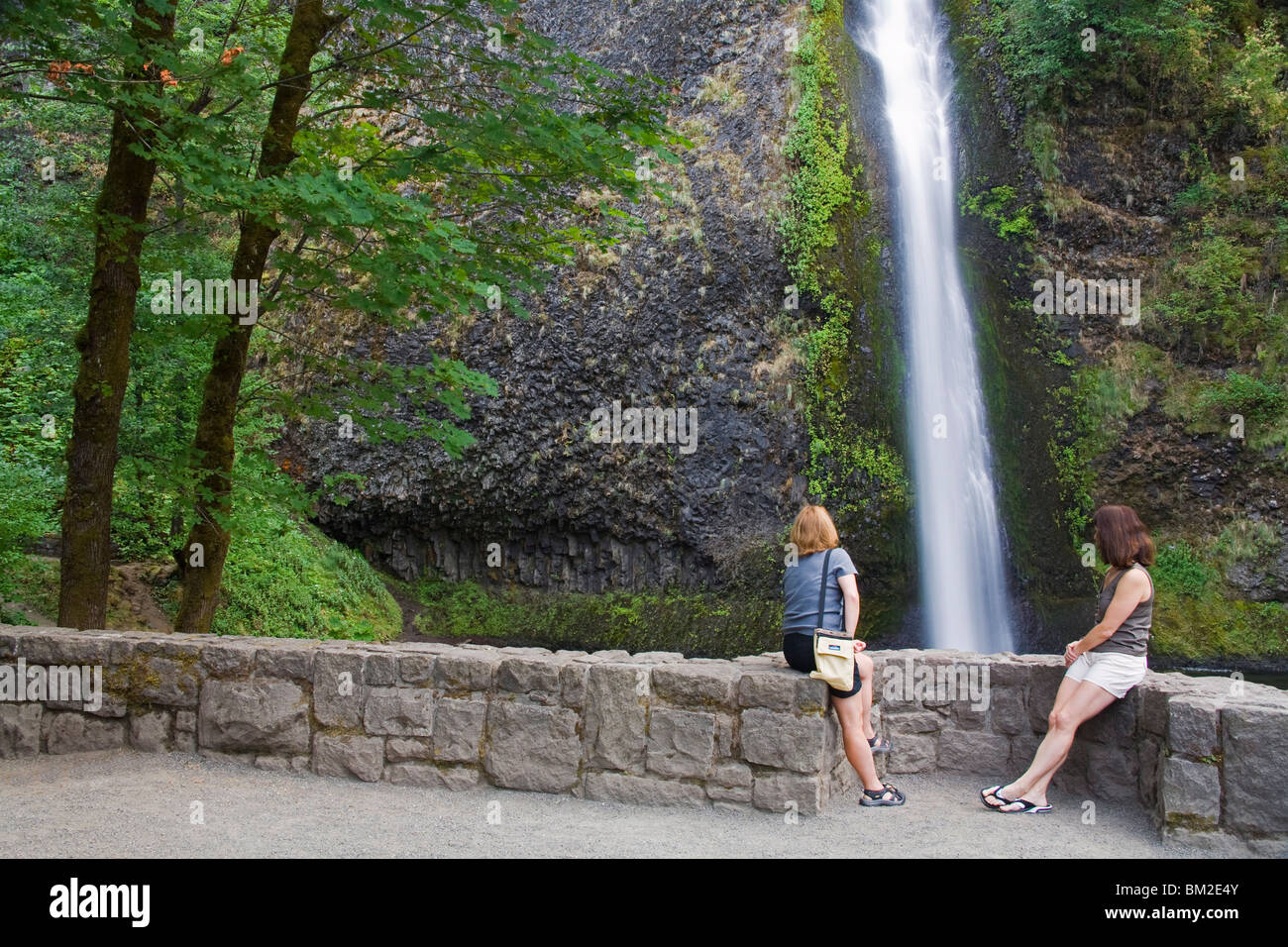 Equiseto cade nella Columbia River Gorge, maggiore Regione di Portland, Oregon, Stati Uniti d'America Foto Stock