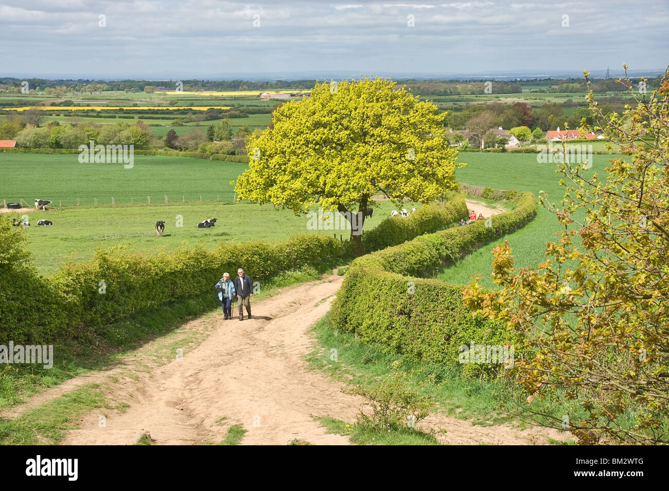 La via che conduce a Roseberry Topping e legno di Newton, vicino grande Ayton, Cleveland, Regno Unito Foto Stock