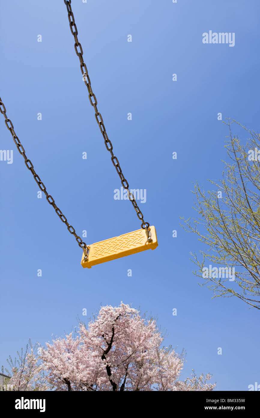 Swing e fiori di ciliegio Foto stock - Alamy