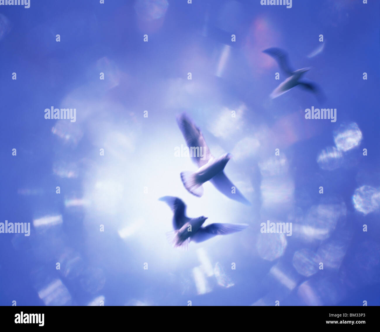 Tre uccelli volare in aria, sfondo blu, computer grafica, movimento sfocato Foto Stock