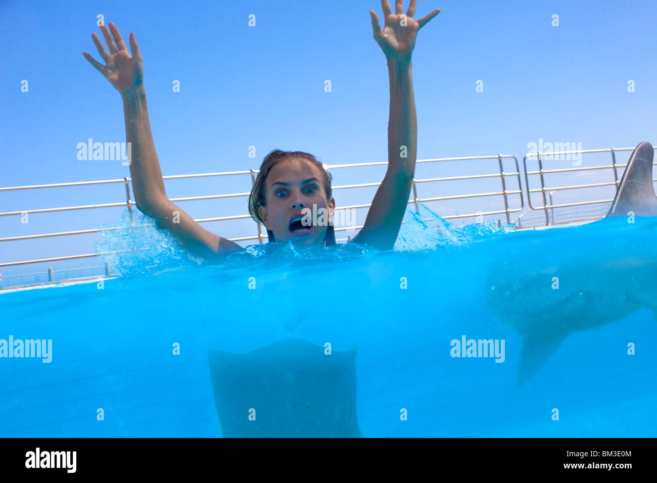 Attacco di squalo Foto Stock