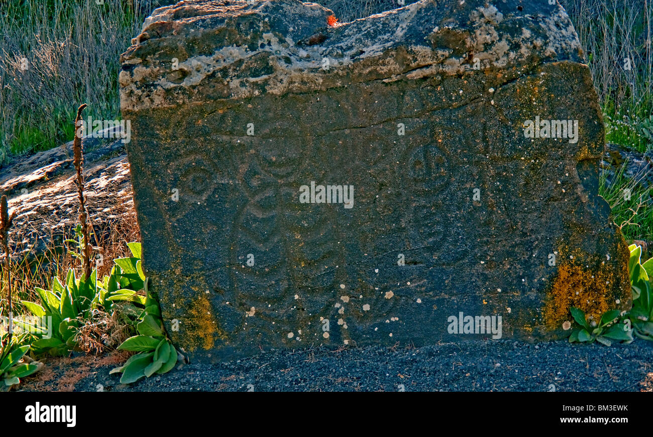 Questa immagine è di un antico Native American petroglifi disegno su una grande roccia con altri paesaggio naturale in background. Foto Stock