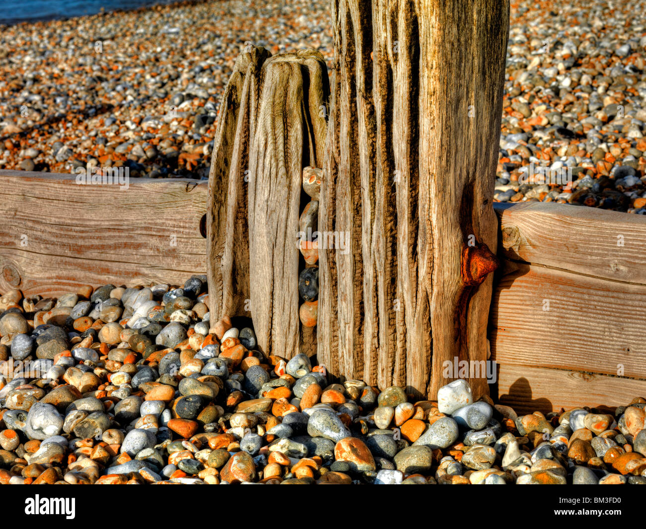 Pennelli usurata sul Camber Sands Beach East Sussex Foto Stock