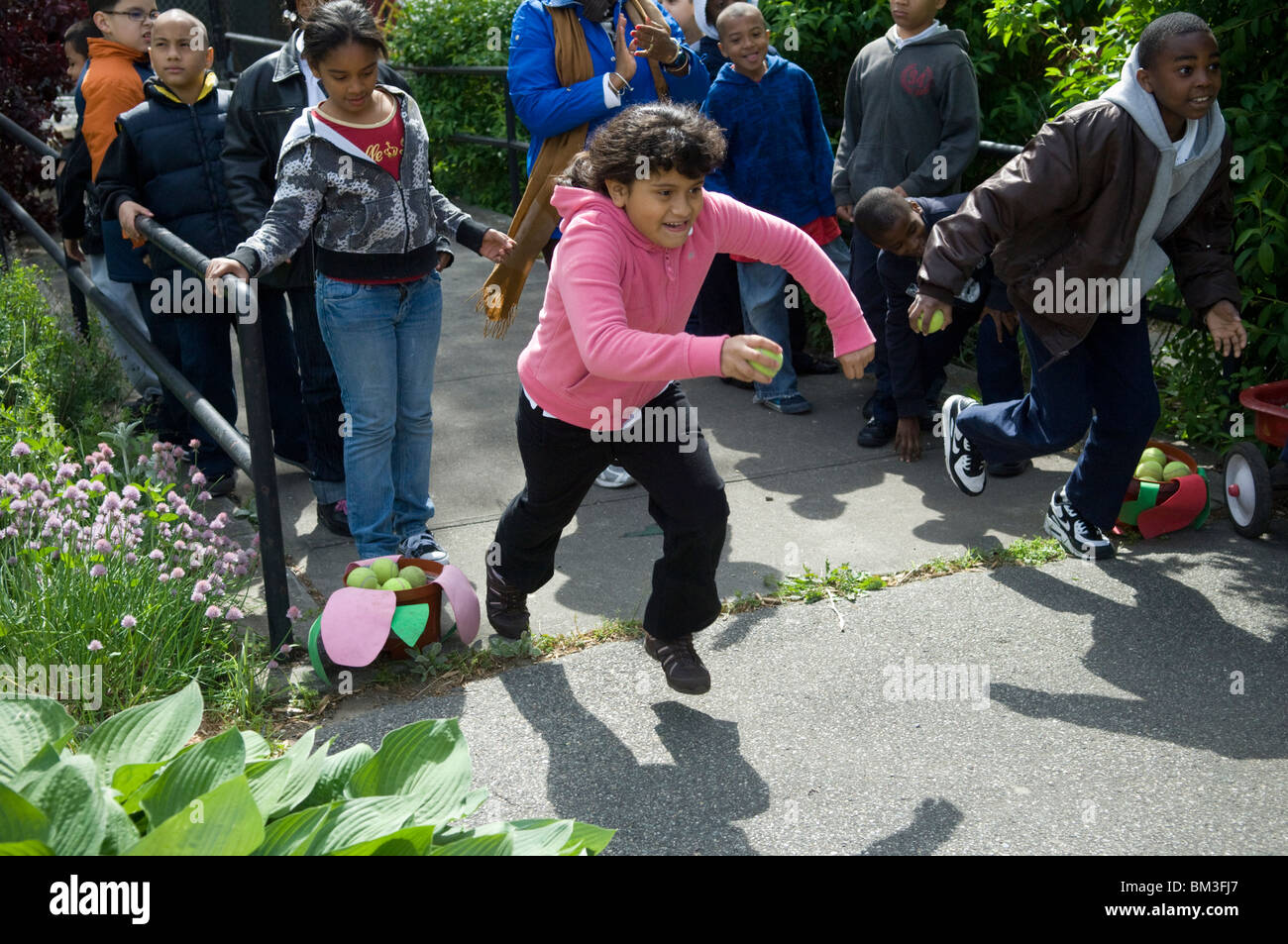 Il secondo grado studenti sui fiori e di impollinazione nel quartiere del Bronx a New York Foto Stock