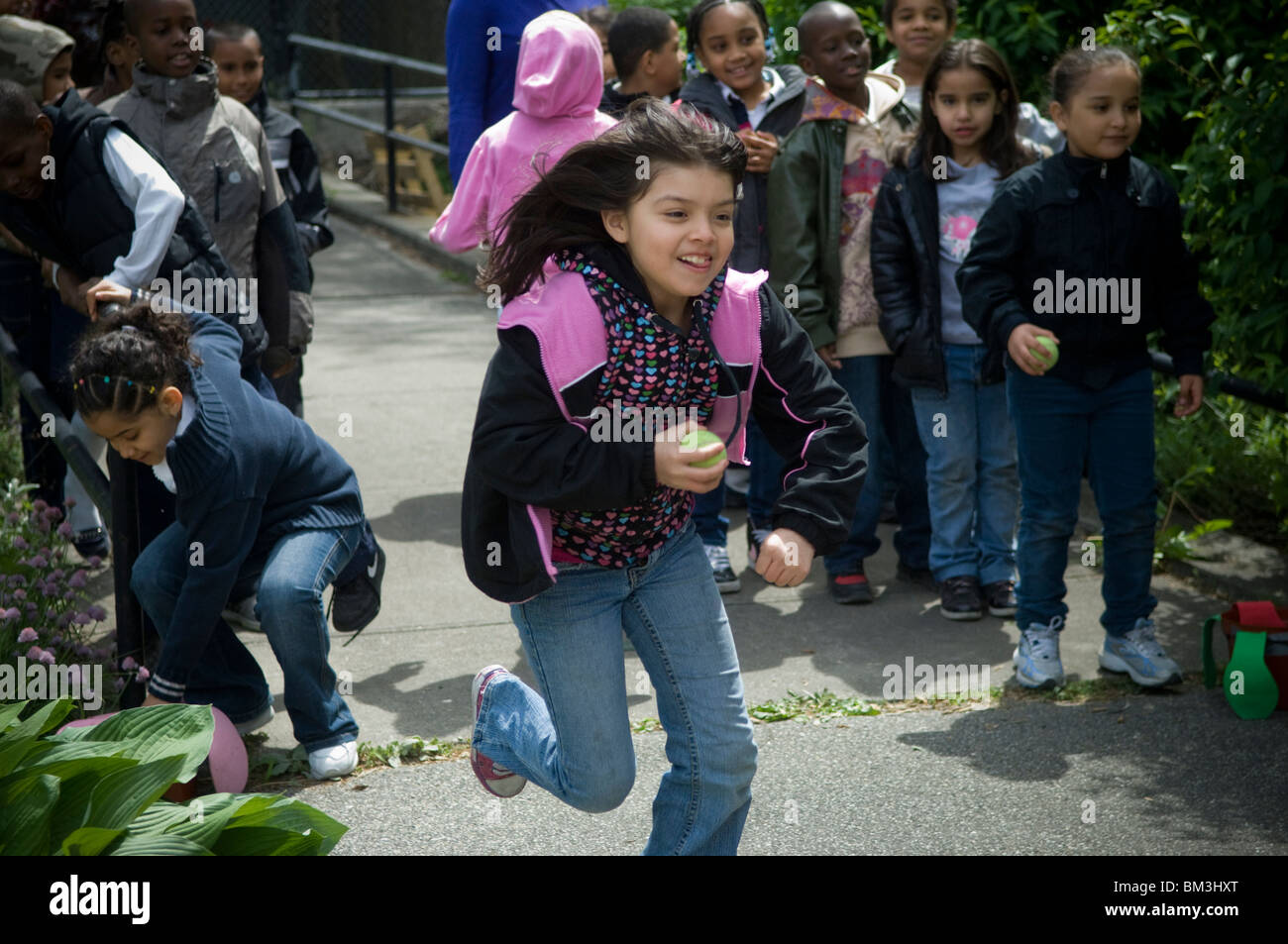 Il secondo grado studenti sui fiori e di impollinazione nel quartiere del Bronx a New York Foto Stock