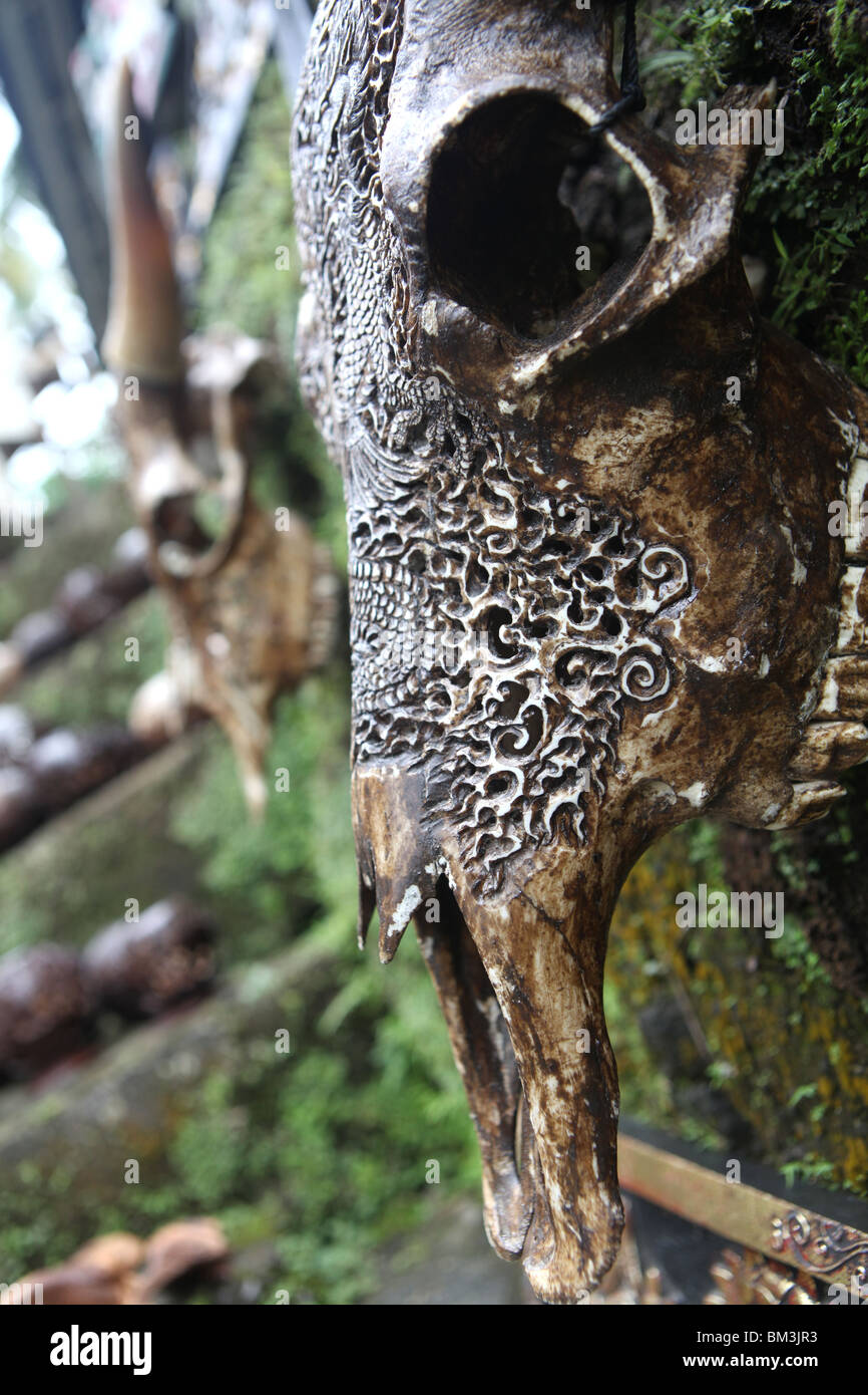 Una mucca intagliato cranio sui gradini che portano alle antiche tombe reali di Gunung Kawi in Tampaksiring, Bali, Indonesia. Foto Stock