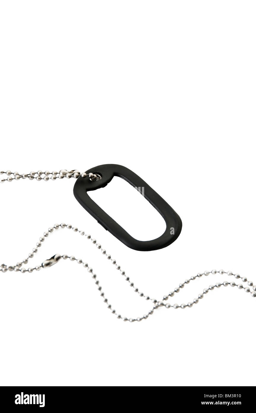 Identificazione militare 'Dog' tag e collana lunga catena. Foto Stock