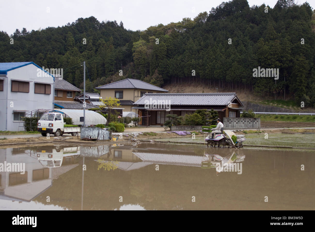 Per piantare un Risone Foto Stock
