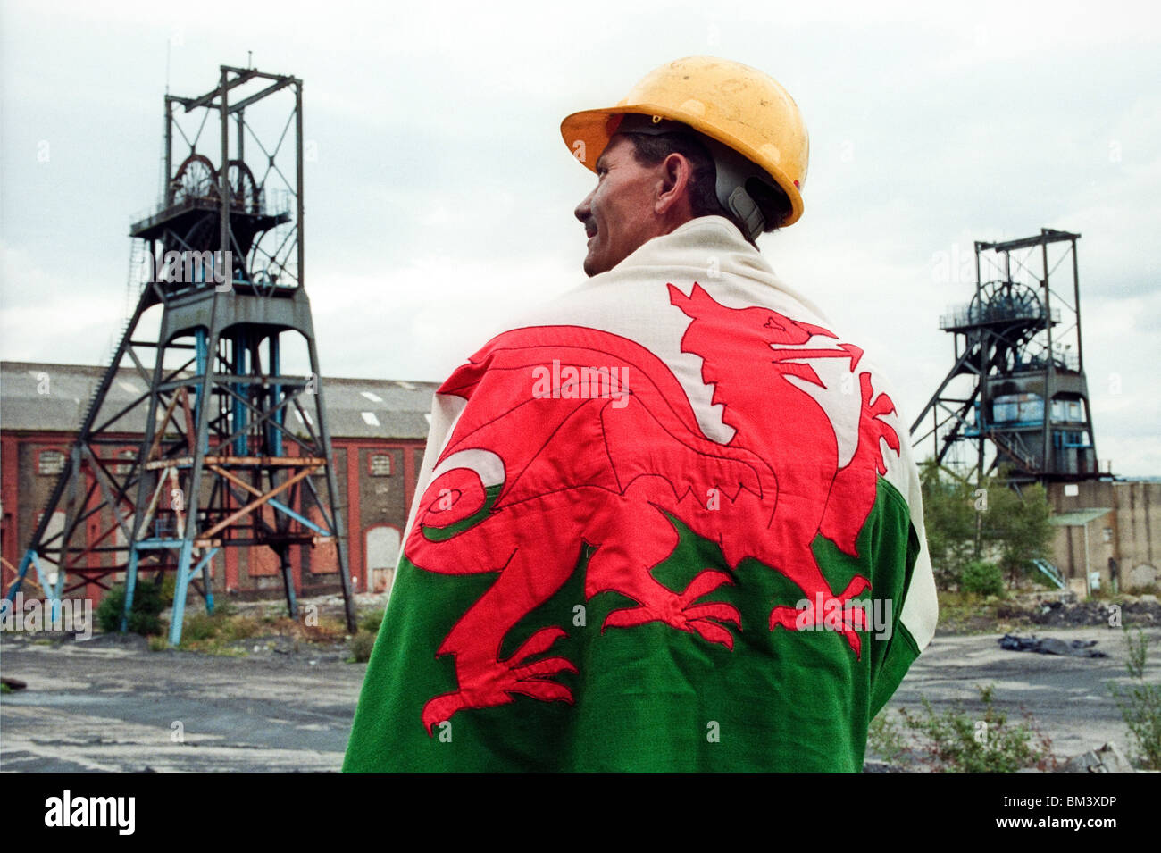 Ex minatore avvolto in welsh drago rosso bandiera a Penallta Colliery di supporto del Referendum 1997 in Galles Foto Stock