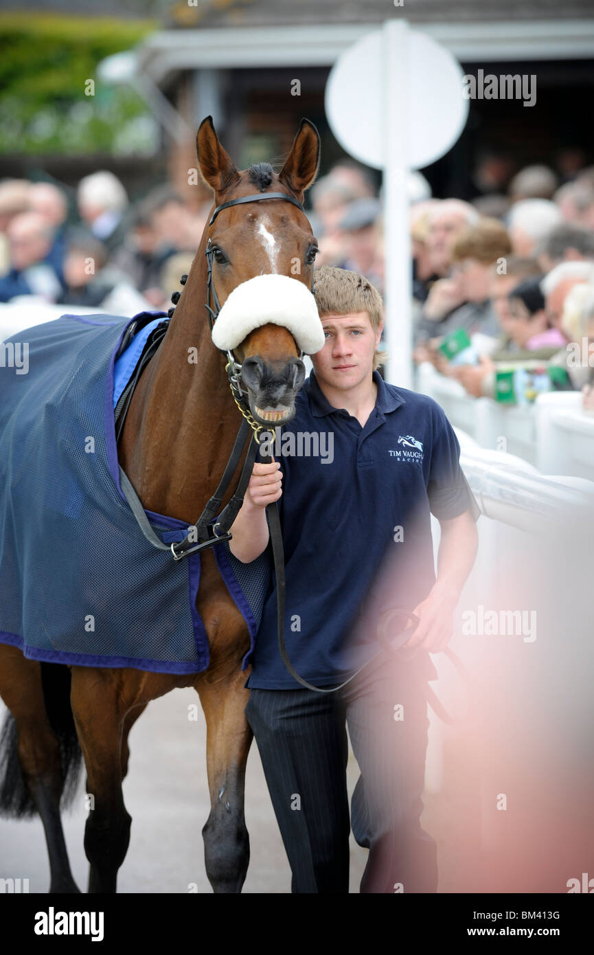 Plumpton gare nel Sussex - un cavallo sembra essere sorridente alla folla come immettere la sfilata anello.Foto da Jim Holden Foto Stock