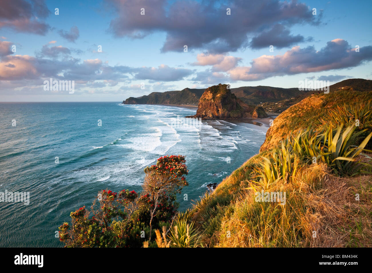 Piha Beach e Lion Rock al tramonto. Piha, Waitakere gamme Parco Regionale, Auckland, Isola del nord, Nuova Zelanda Foto Stock