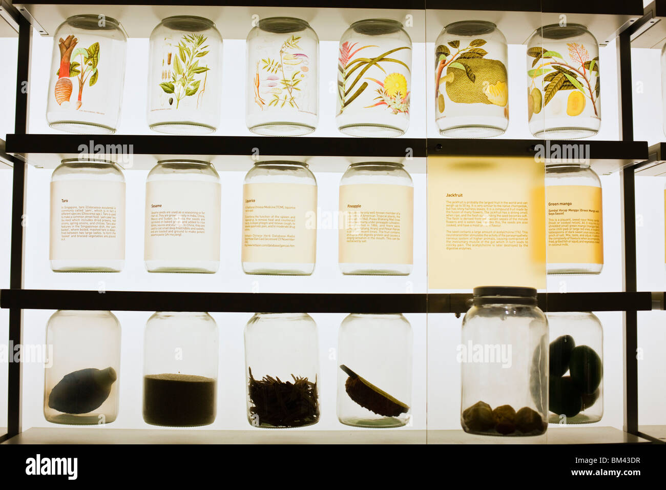 "Mangiare sulla strada' galleria vivente nel Museo Nazionale di Singapore, Singapore Foto Stock