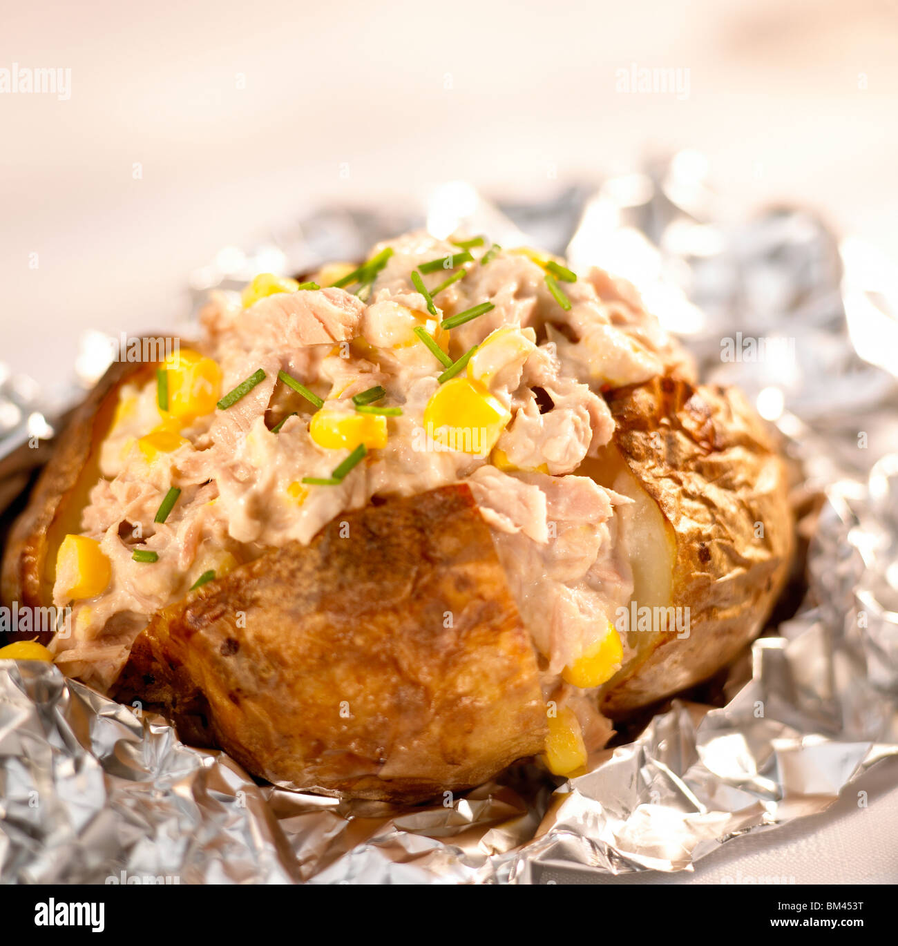 Spud di tonno Foto Stock