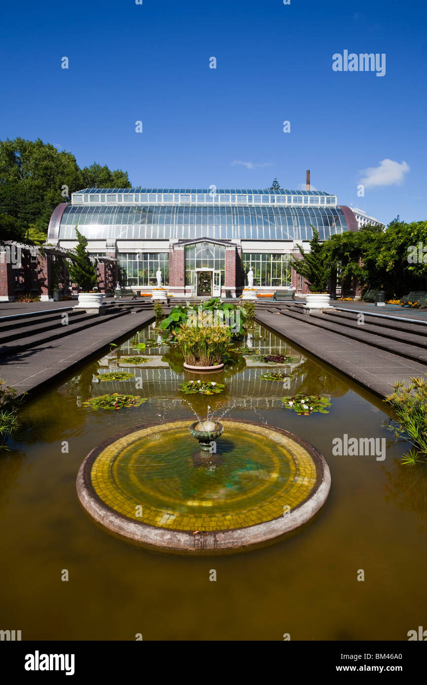 Wintergarden cortile e serra il dominio. Auckland, Isola del nord, Nuova Zelanda Foto Stock