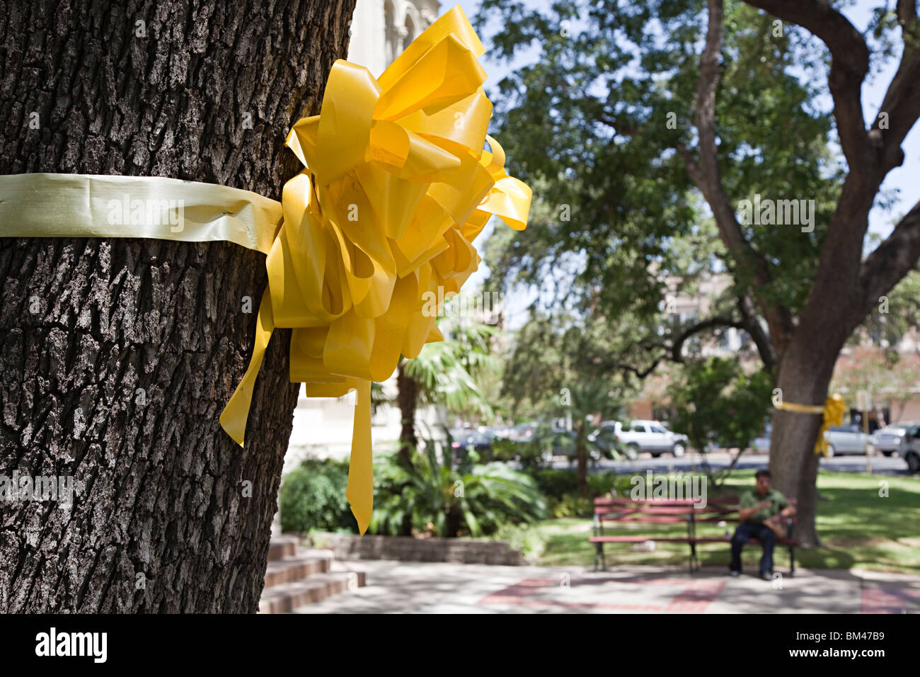 Nastro giallo legato attorno al di fuori della struttura City Hall di San Antonio Texas USA Foto Stock