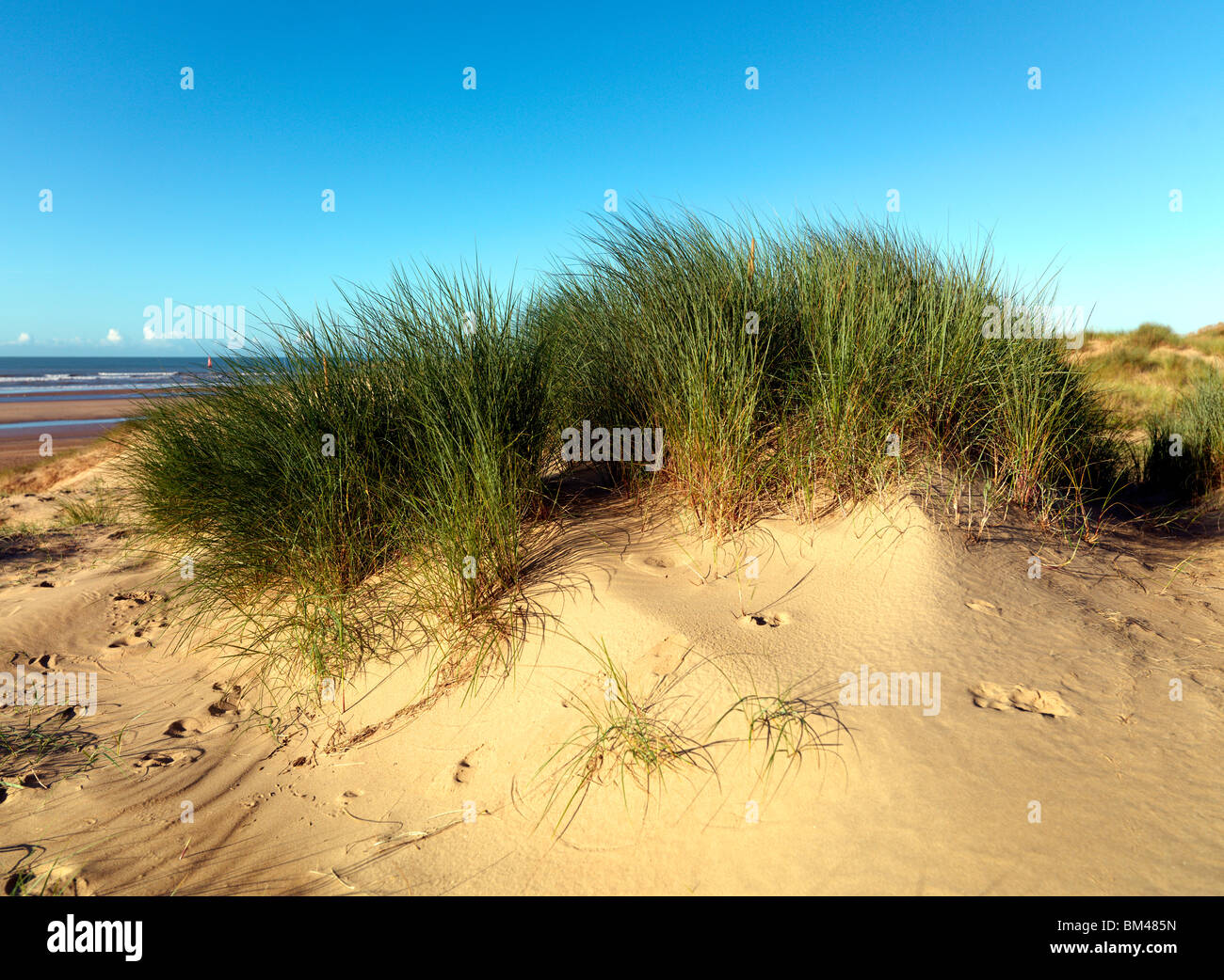 Camber Sands dune, ( Shot su una Hasselblad H3DII-50, producendo un 140MB+ file Tiff se necessario) Foto Stock