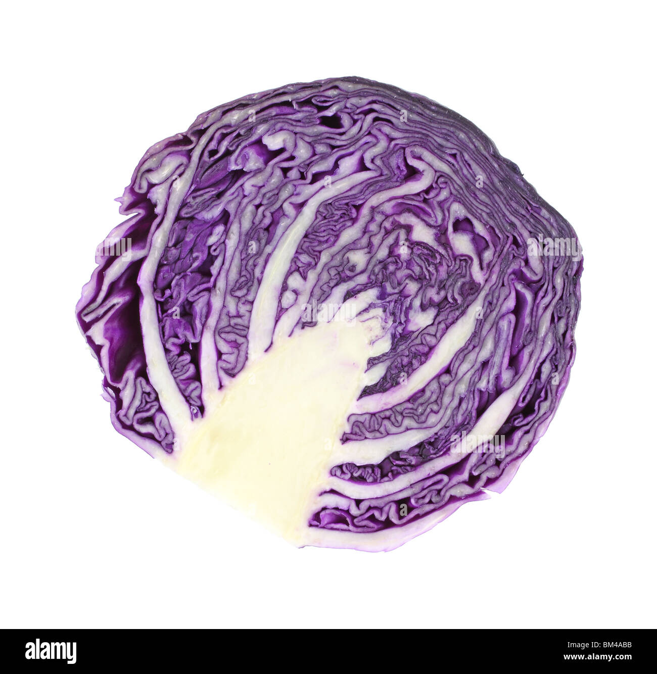 Cavolo rosso tagliato a metà Foto Stock