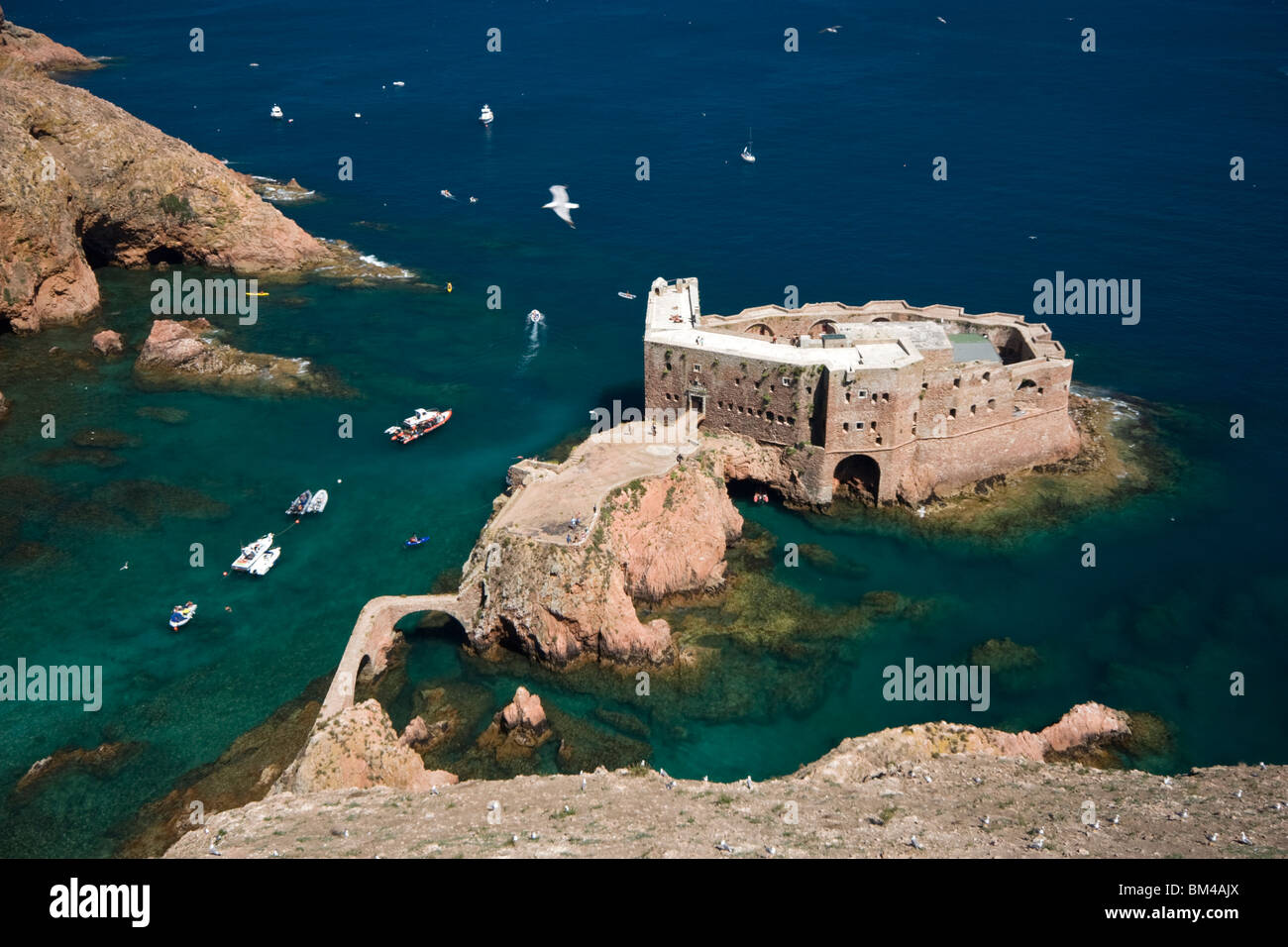 Il São João Baptista Fort nel Berlengas riserva naturale (Portogallo). Le Fort de São João Baptista (Berlengas Grande-Portugal). Foto Stock