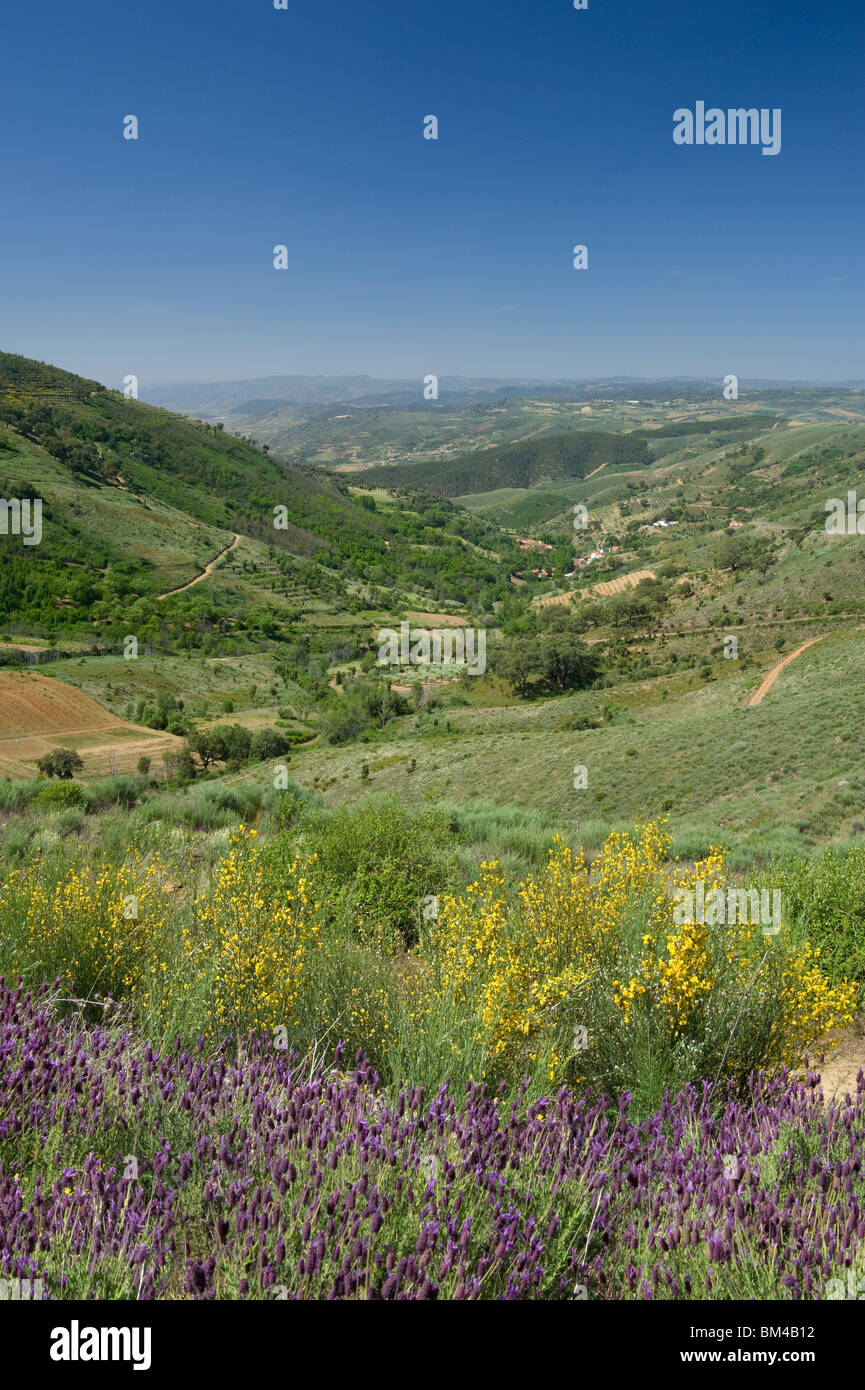 Il Portogallo, paesaggio dell'Alto Douro vicino a Vila Nova de Foz Coa Foto Stock