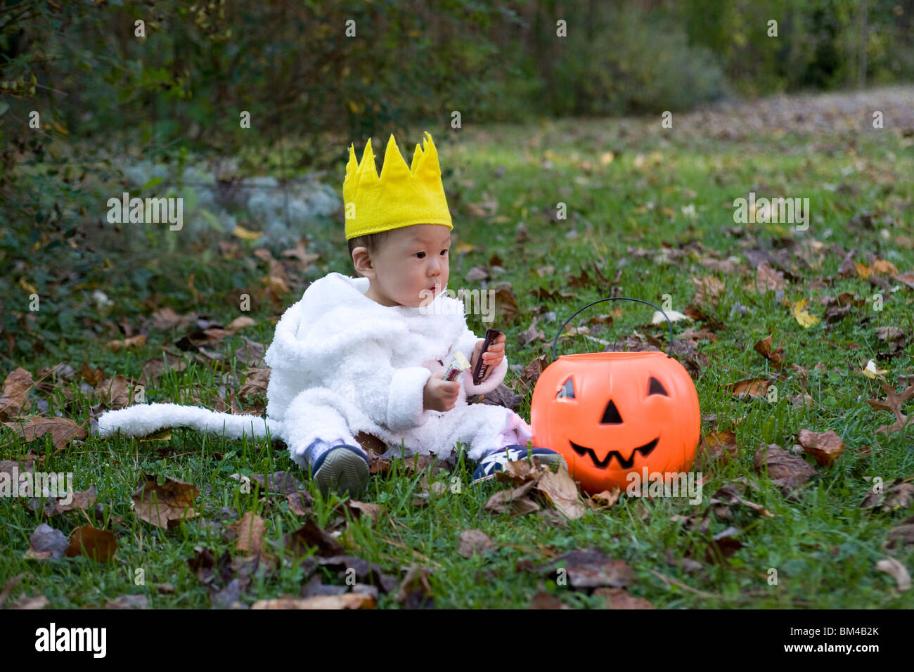 Asian baby boy vestito in costume di lupo per Halloween Foto Stock