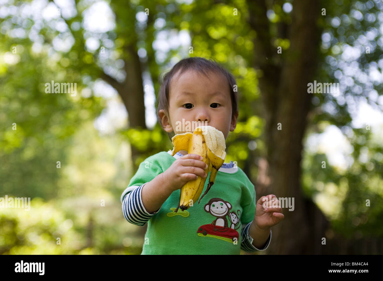 Asian baby boy mangiare una banana all'aperto Foto Stock