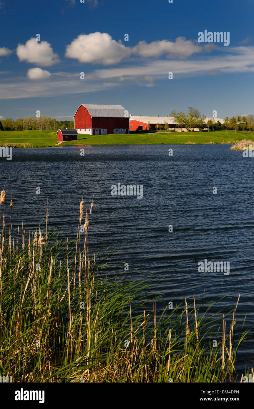 Granaio rosso sul lago blu in lincolnville ontario canada con erba verde cattails e sereno Foto Stock