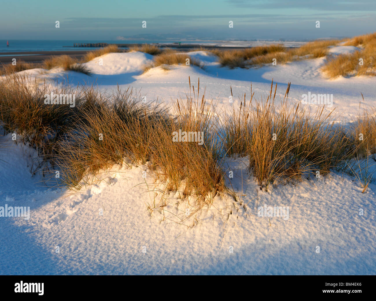 Dune, Camber Sands, ( Shot su una Hasselblad H3DII-50, producendo un 140MB+ file Tiff se necessario) Foto Stock