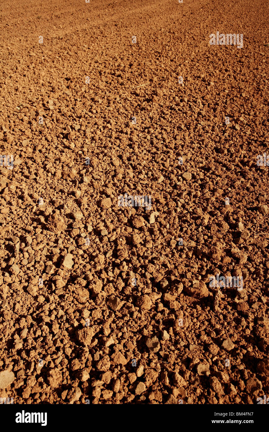 Rosso argilla agricoltura textured sporcano di farmanland Foto Stock