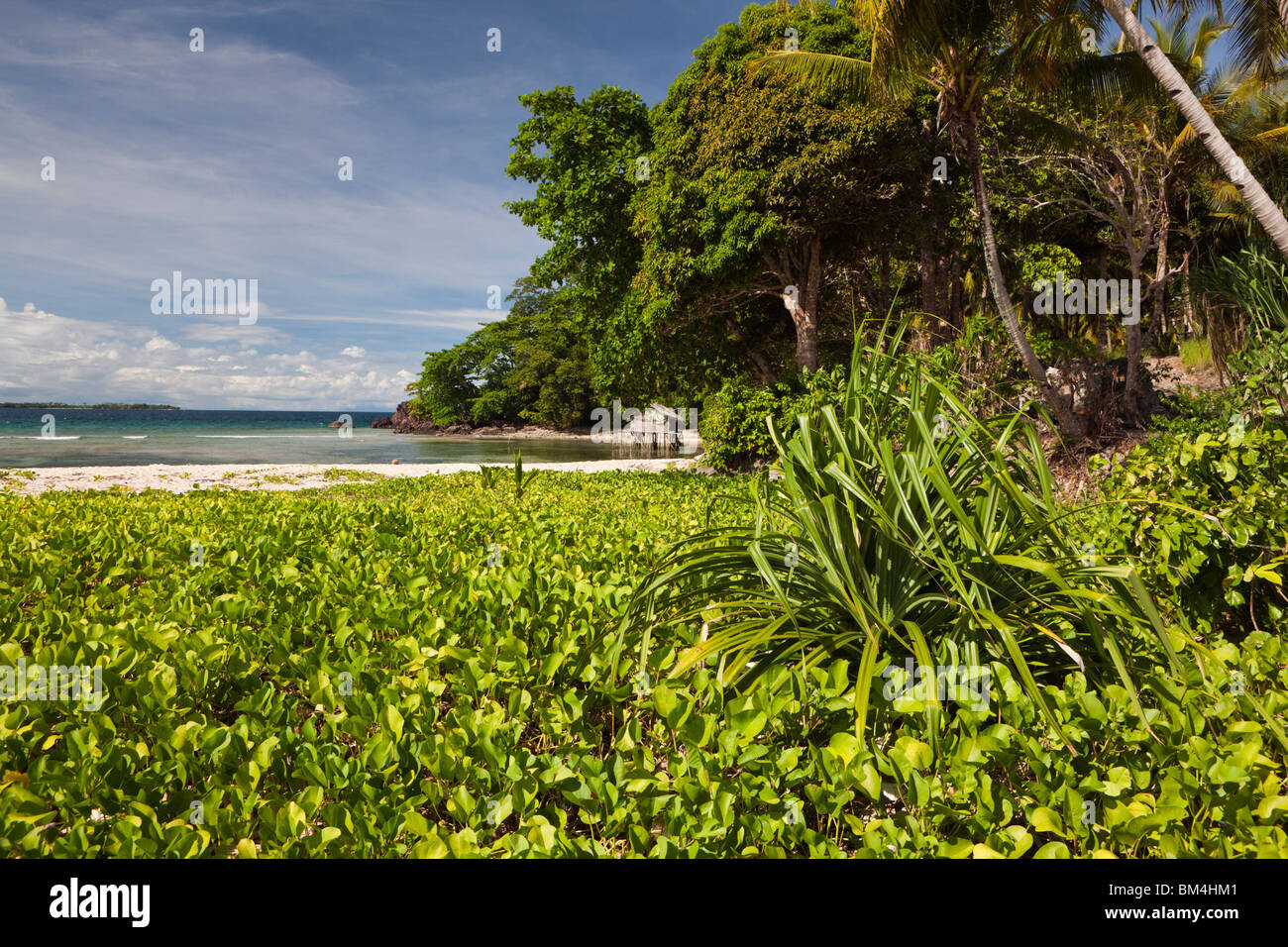 Isola nei pressi di Sorong, Raja Ampat, Papua occidentale, in Indonesia Foto Stock