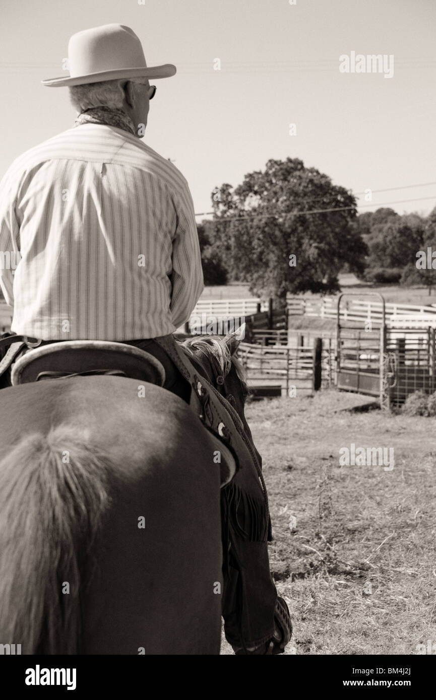 Cowboy in sella al suo cavallo Foto Stock